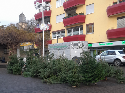 Weihnachtsbaumangebot auf dem Gutenbergplatz